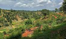 KIENI AB, KENYA
