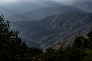 QUETZAL, MEXICO