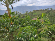 EDINSON ARGOTE, COLOMBIA