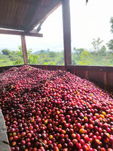 EDINSON ARGOTE, COLOMBIA