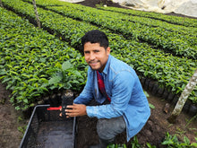 EDINSON ARGOTE, COLOMBIA