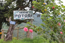 POTOSI, COLOMBIA