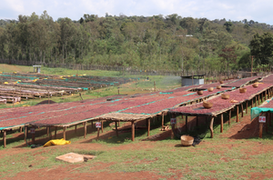 LALESA SITE, ETHIOPIA