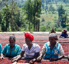 AYLA BOMBE, ETHIOPIA