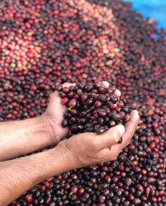 LA BENDICION, GUATEMALA