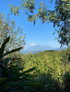 LA BENDICION, GUATEMALA