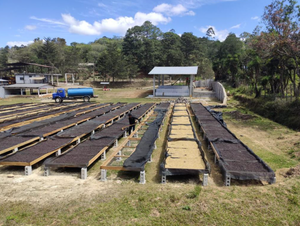 HERLY URQUIA, HONDURAS