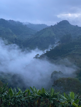 SWEET VALLEY, COLOMBIA