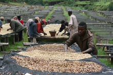 KIBINGO, BURUNDI