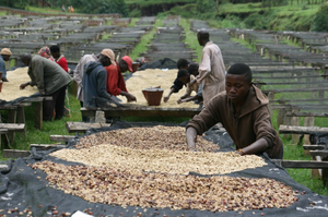 KIBINGO, BURUNDI