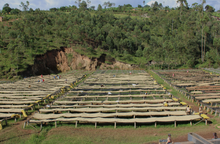 KIBINGO, BURUNDI