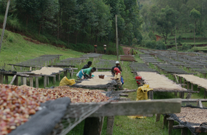 KIBINGO, BURUNDI