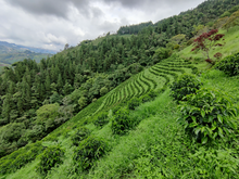 EL REFUGIO, COLOMBIA