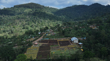 LALESA (AN), ETHIOPIA