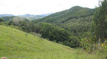 JORGE MIRA, COLOMBIA