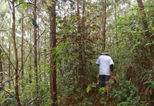 JORGE MIRA, COLOMBIA