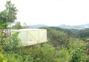 JORGE MIRA, COLOMBIA