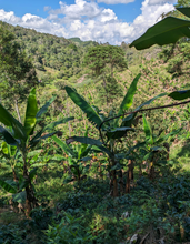 JORGE MIRA, COLOMBIA