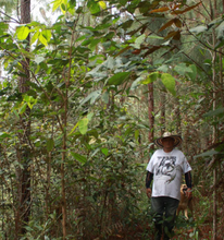 JORGE MIRA, COLOMBIA
