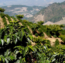 SANTA ELISA, GUATEMALA