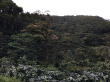 SANTA MARIA, NICARAGUA
