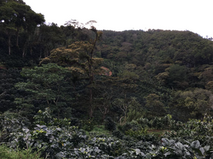 SANTA MARIA, NICARAGUA