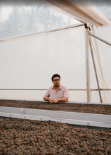 GUNDIKHAN LOT 3, INDIA